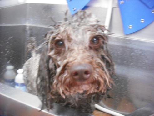 ファイル 3102-2.jpg