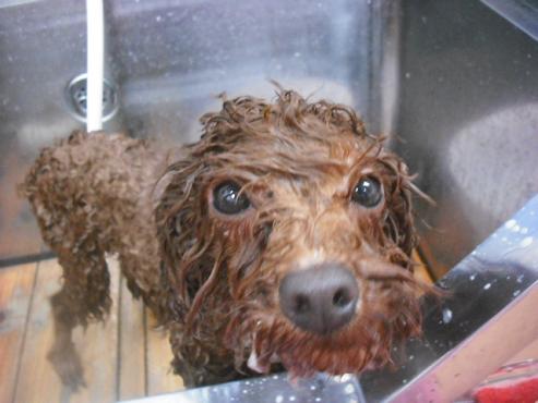 ファイル 3103-2.jpg