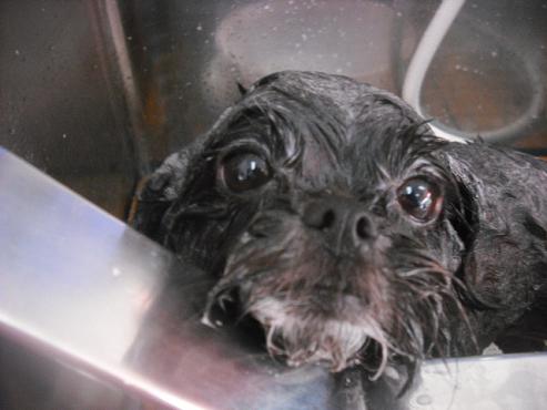 ファイル 3104-2.jpg