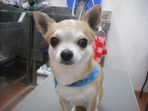 ファイル 3107-1.jpg