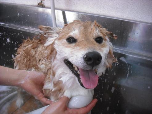 ファイル 3108-2.jpg