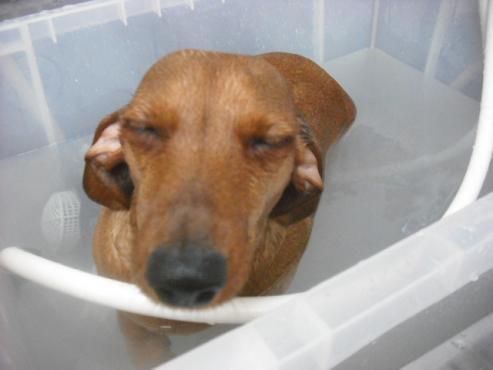 ファイル 3109-2.jpg