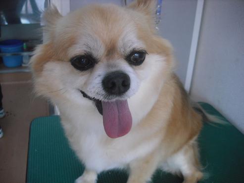 ファイル 311-1.jpg