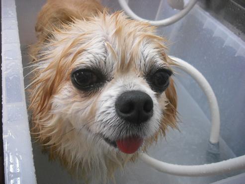 ファイル 311-3.jpg