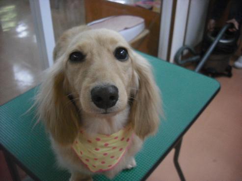 ファイル 3110-1.jpg