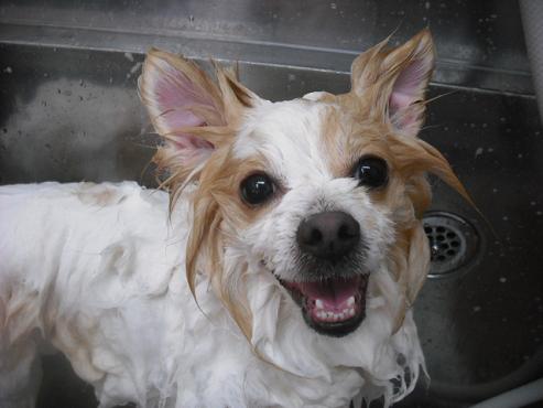 ファイル 3111-2.jpg