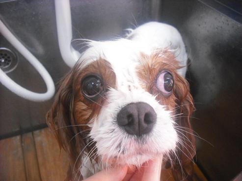 ファイル 3113-2.jpg