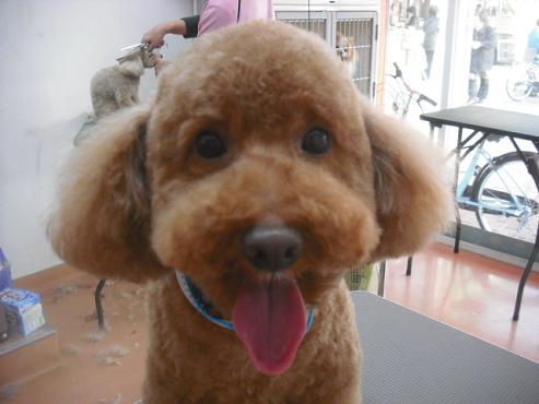 ファイル 3114-1.jpg