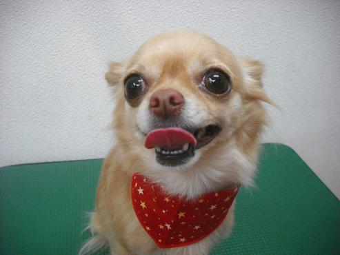 ファイル 3115-1.jpg