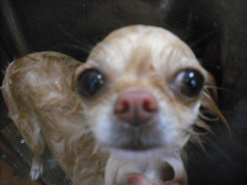 ファイル 3115-2.jpg