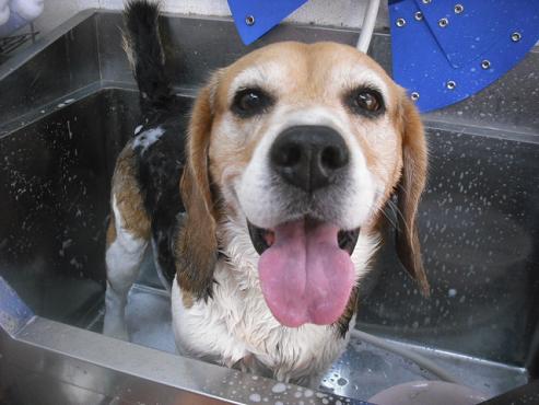 ファイル 3116-2.jpg