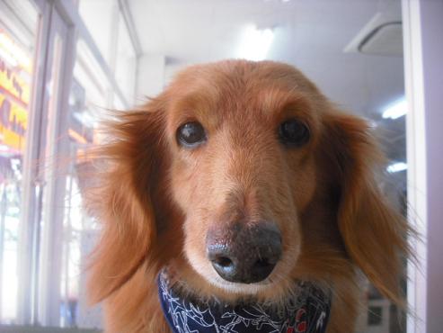 ファイル 3117-1.jpg