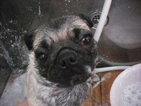 ファイル 3118-2.jpg