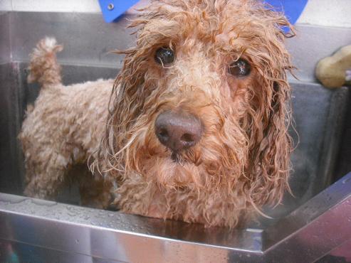 ファイル 3119-2.jpg