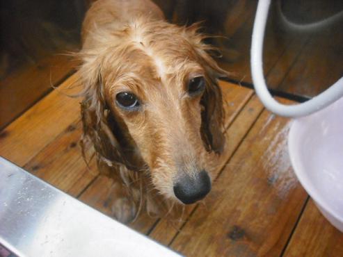 ファイル 312-3.jpg