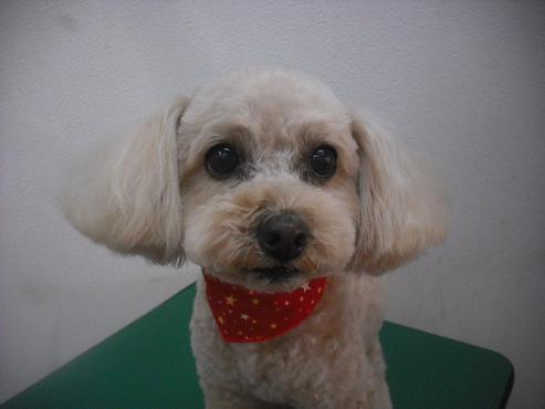 ファイル 3120-1.jpg