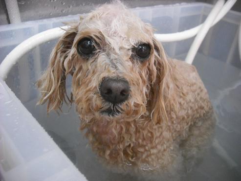 ファイル 3120-2.jpg