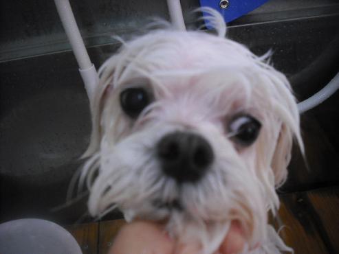 ファイル 3121-2.jpg