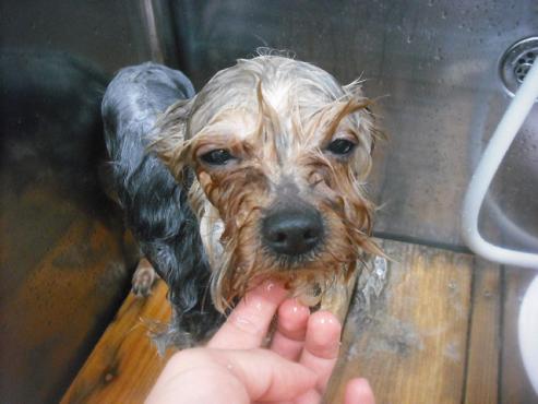 ファイル 3122-2.jpg