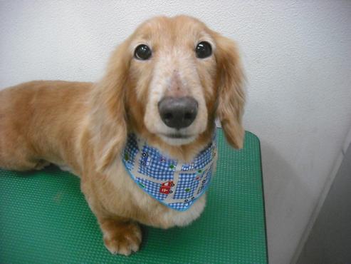 ファイル 3124-1.jpg