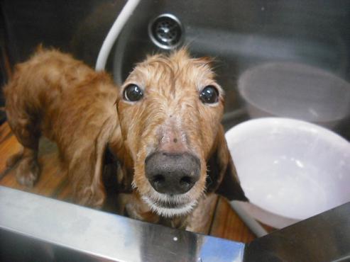 ファイル 3124-2.jpg