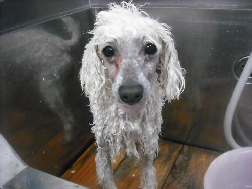 ファイル 3125-2.jpg