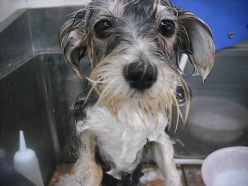 ファイル 3128-2.jpg