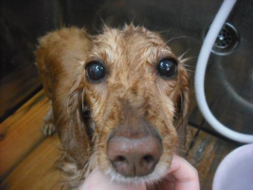 ファイル 3129-2.jpg