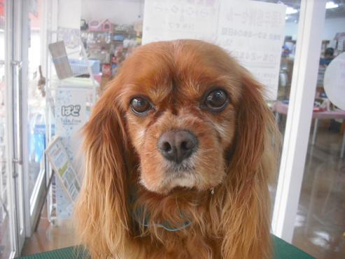 ファイル 313-1.jpg