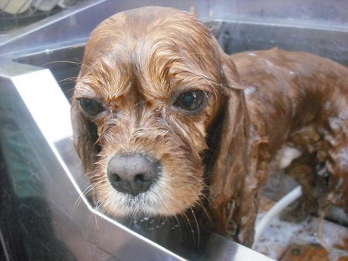 ファイル 313-3.jpg