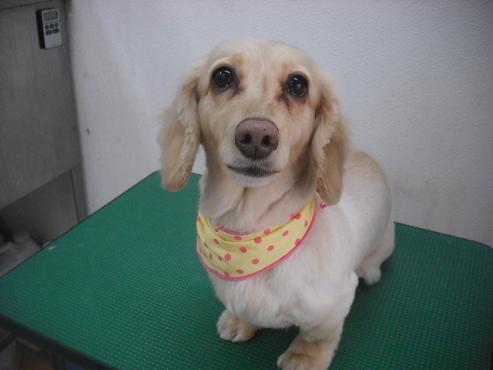 ファイル 3130-1.jpg