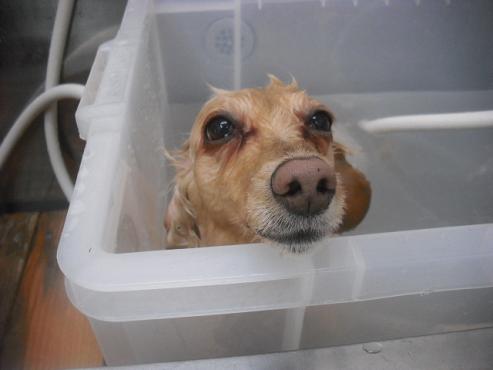 ファイル 3130-2.jpg