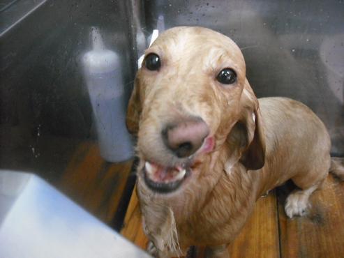 ファイル 3131-2.jpg