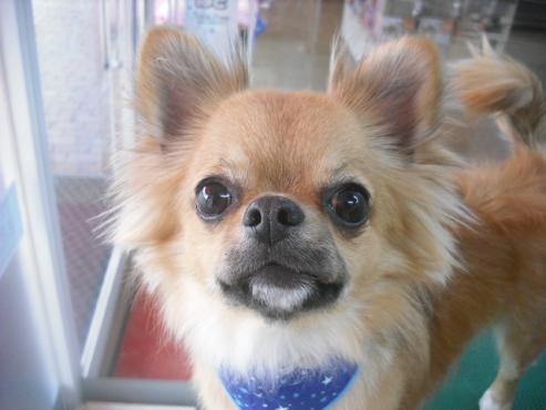 ファイル 3132-1.jpg