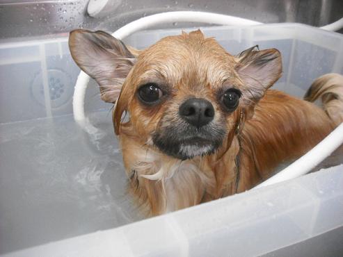 ファイル 3132-2.jpg