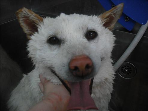 ファイル 3133-2.jpg