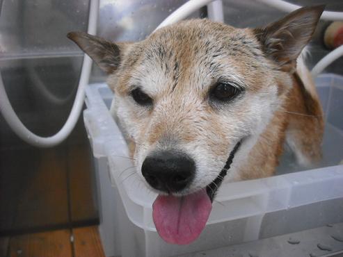 ファイル 3134-2.jpg