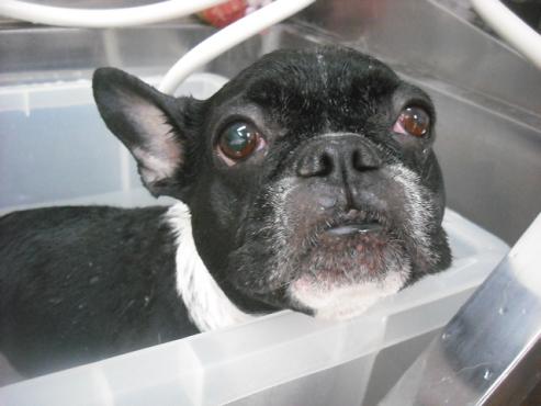 ファイル 3135-2.jpg