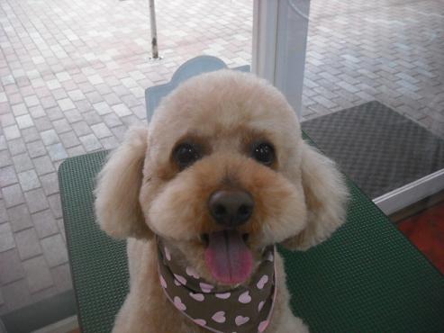 ファイル 3136-1.jpg