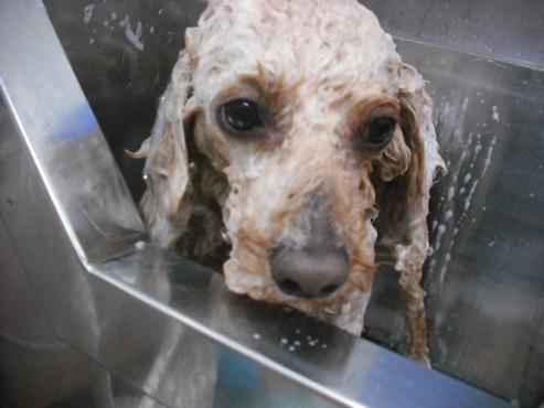 ファイル 3136-2.jpg