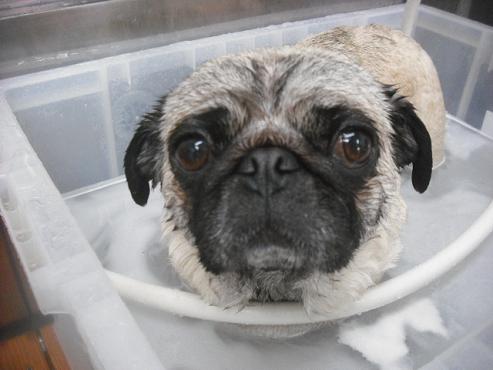 ファイル 3137-2.jpg