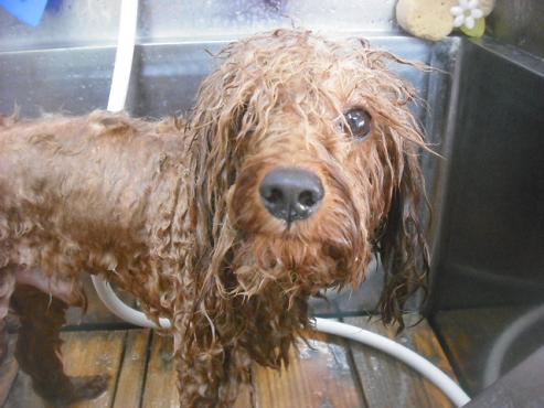 ファイル 3140-2.jpg