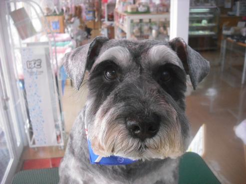 ファイル 3141-1.jpg