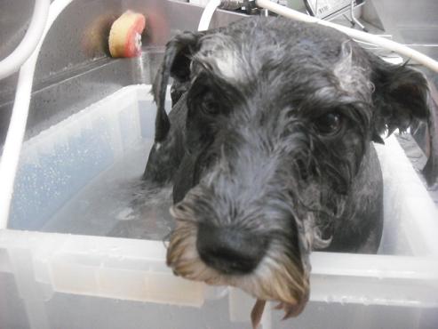 ファイル 3141-2.jpg