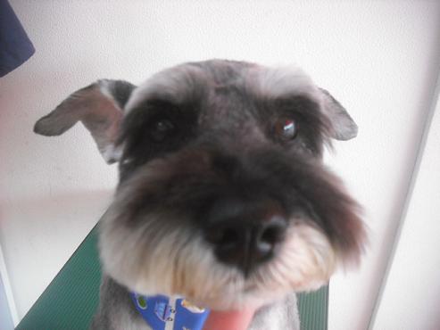 ファイル 3142-1.jpg