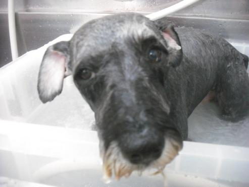 ファイル 3142-2.jpg