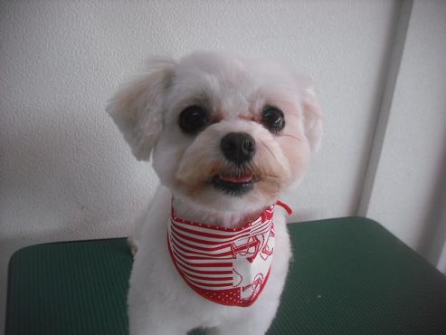 ファイル 3143-1.jpg