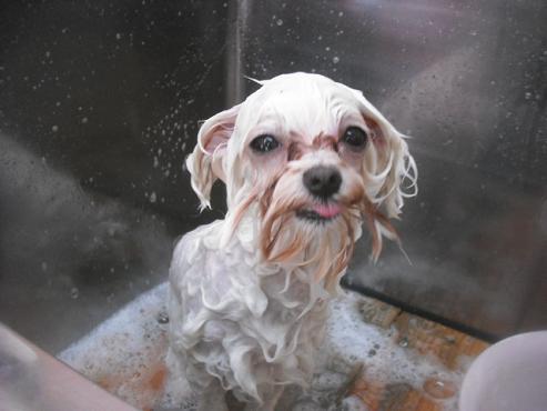 ファイル 3143-2.jpg