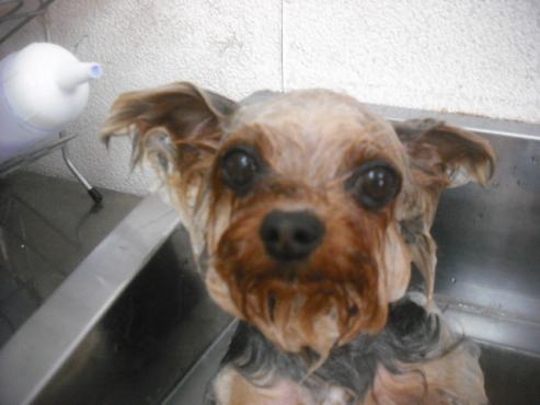 ファイル 3144-2.jpg