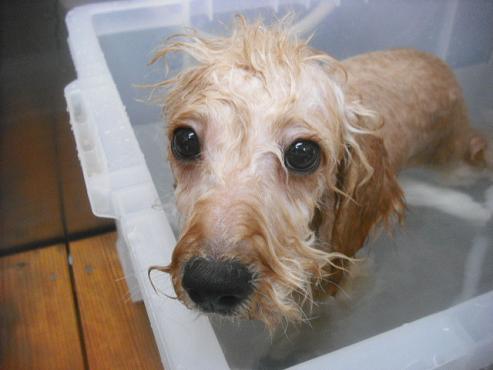 ファイル 3145-2.jpg